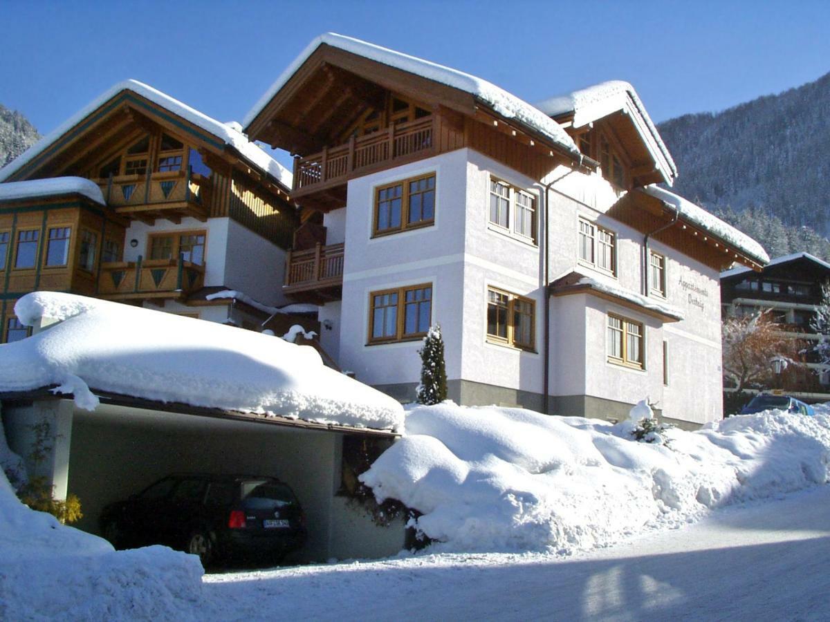 Appartement Dertnig Flachau Kültér fotó